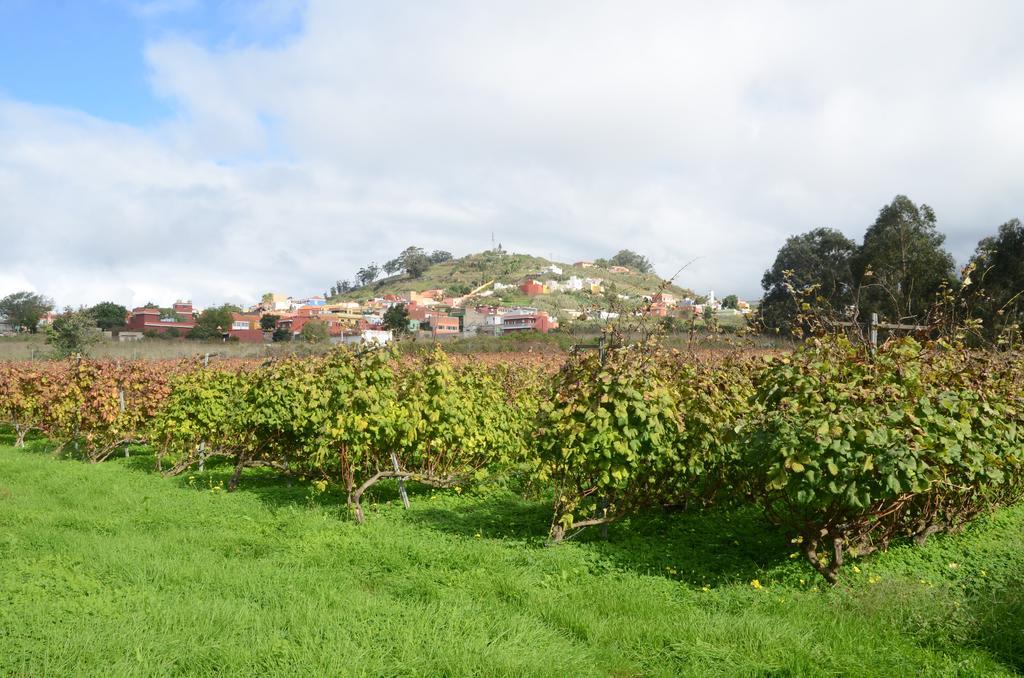El Adelantado Casa di campagna Tacoronte